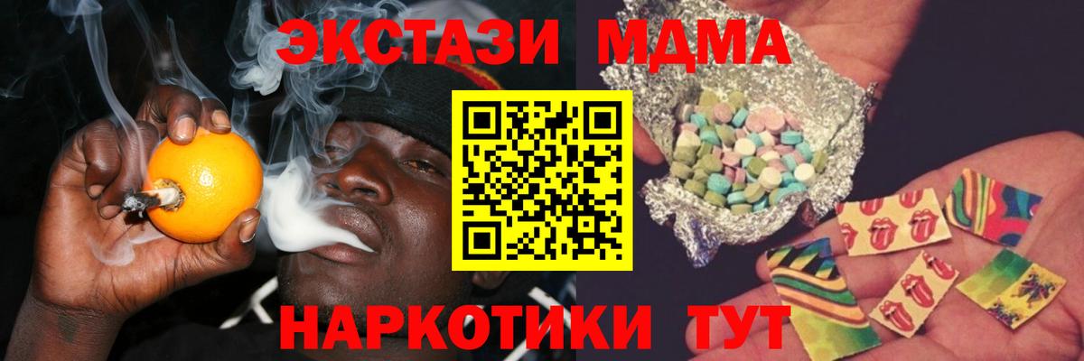 МЕФ Кингисепп
