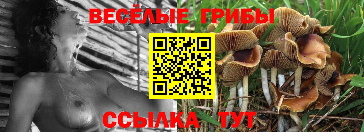 Кингисепп  КОКАИН  Вход с VPN  АМФ   Метамфетамин  LSD-25  Меф МЯУ МЯУ  NBOMe  ГАШИШ  Бошки Шишки  МЕТАДОН  МЕФ кристаллы 