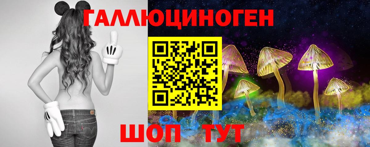 Псилоцибиновые грибы Cubensis  Вход с VPN  Кингисепп 